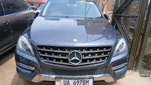 Mercedes-Benz M Class 2013 Gray