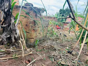 30 by 40 Plot of Land in Buyala- Malube Along Mityana Road