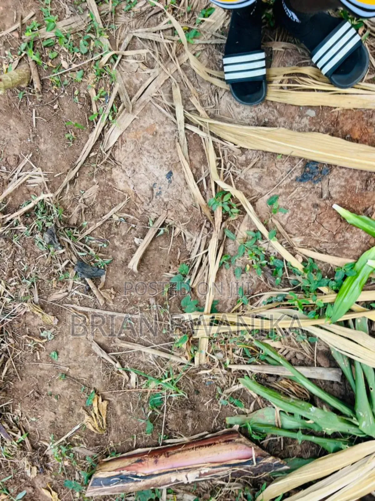 30 by 40 Plot of Land in Buyala- Malube Along Mityana Road