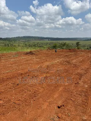 Prime Land (Titled) in Nkokonjeru