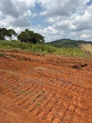 Prime Land (Titled) in Nkokonjeru