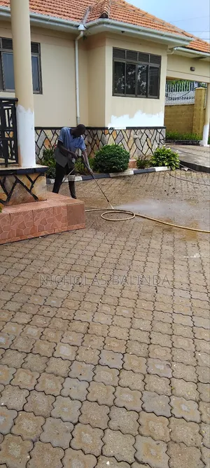 Paver Cleaning