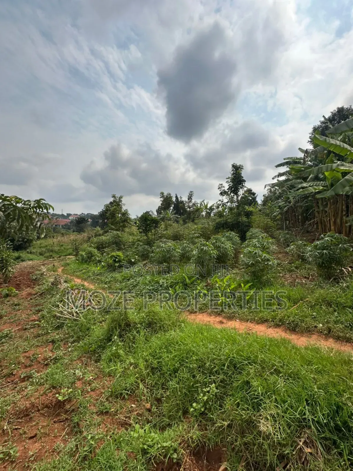 50x100 Plot for Sale in Namugongo Misindye.
