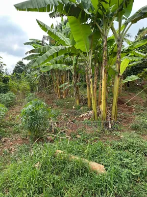 50x100 Plot for Sale in Namugongo Misindye.