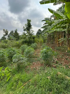 50x100 Plot for Sale in Namugongo Misindye.
