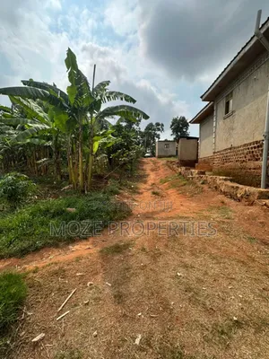 50x100 Plot for Sale in Namugongo Misindye.