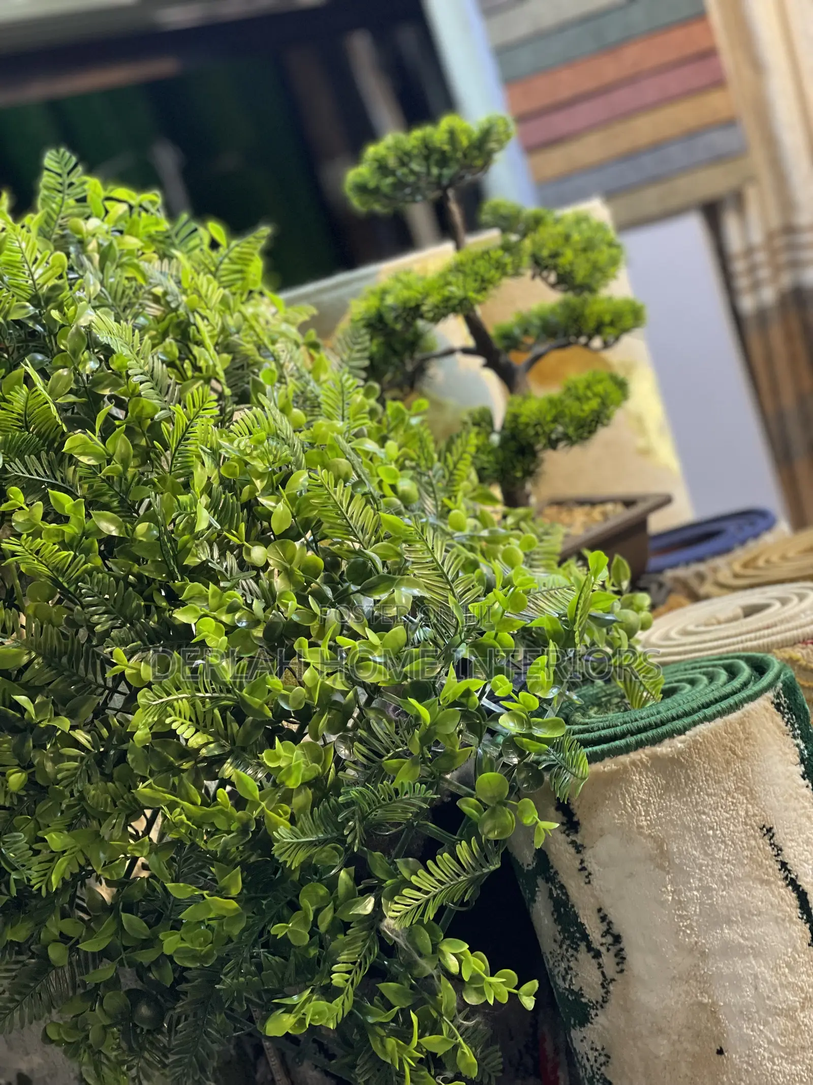 Wall Plant