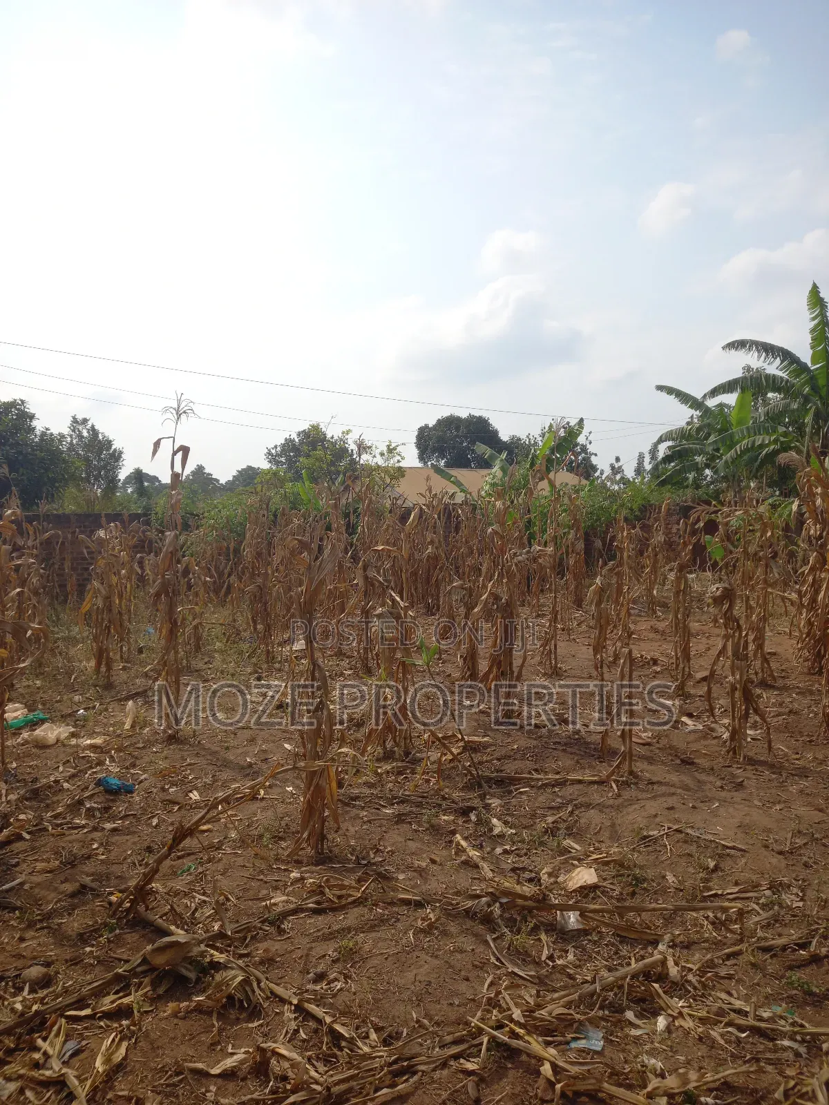 50x100 3 Plots for Sale in Kasangati Nangabo.