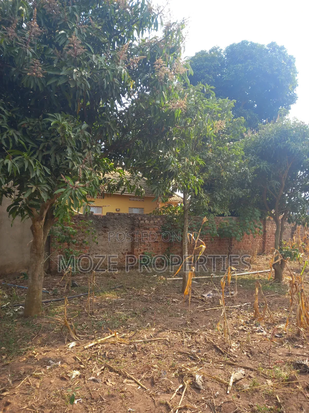 50x100 3 Plots for Sale in Kasangati Nangabo.