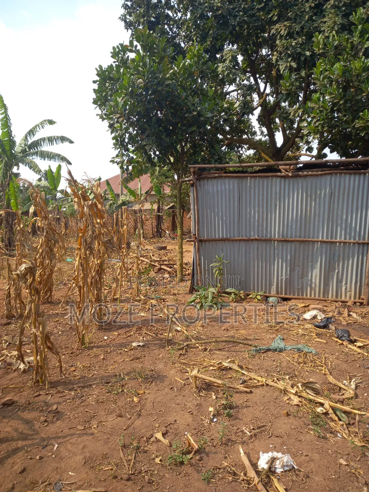 50x100 3 Plots for Sale in Kasangati Nangabo.