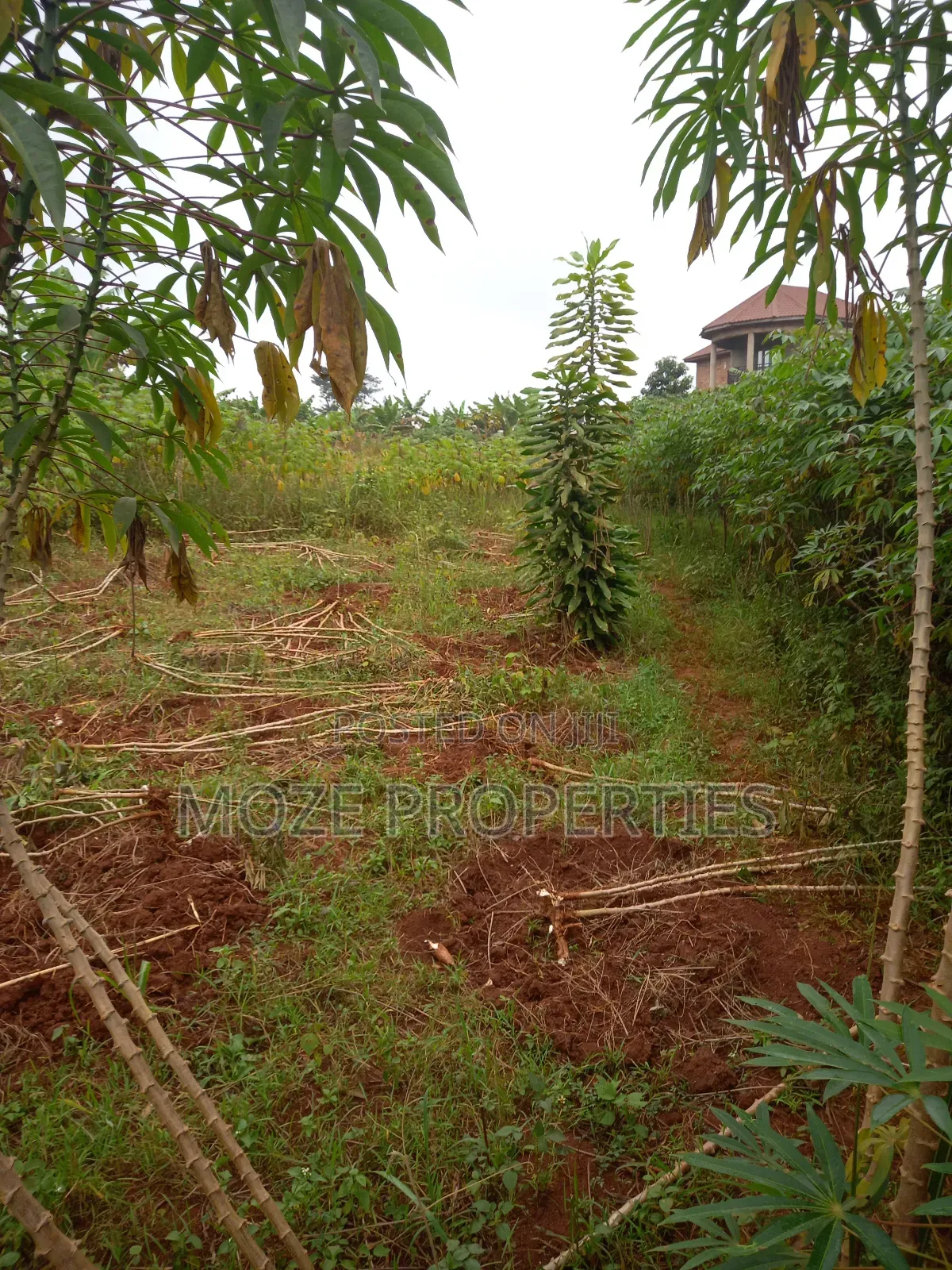 Namugongo Nabusugwe 50x100 Plot for Sale.