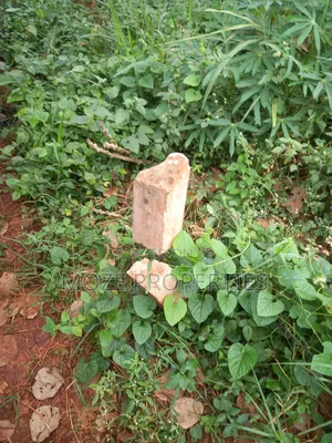 Namugongo Nabusugwe 50x100 Plot for Sale.