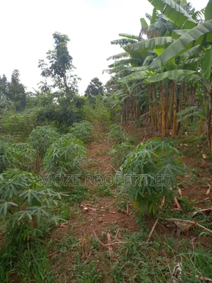 Namugongo Nabusugwe 50x100 Plot for Sale.