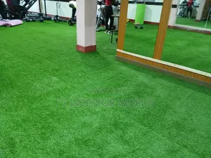 Grass Carpets Suitable for Gym Use