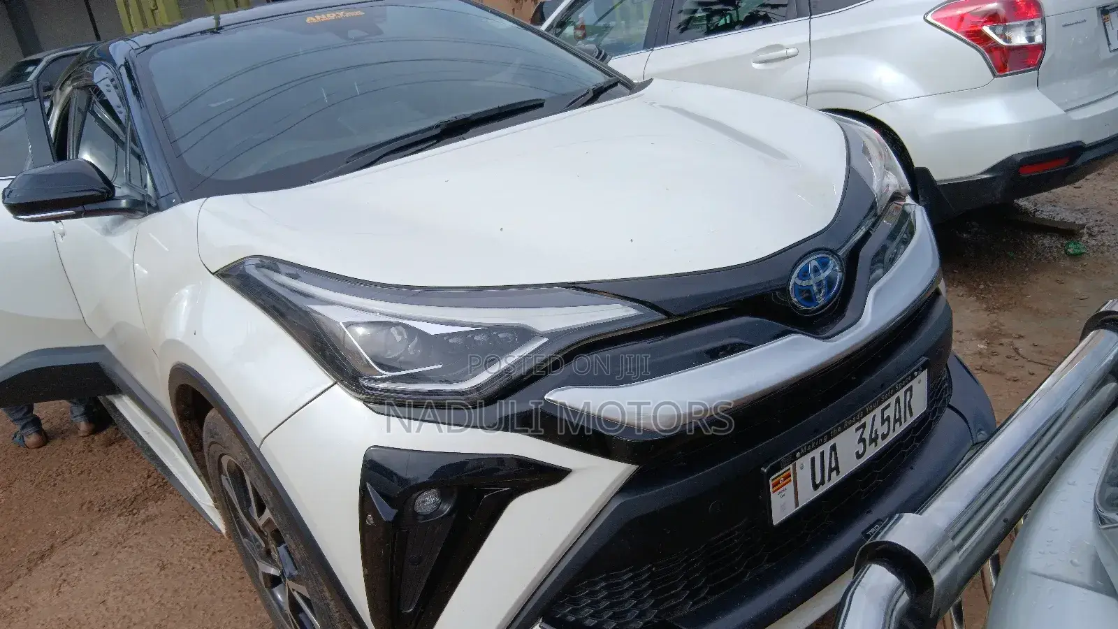 Toyota C-HR 2022 White