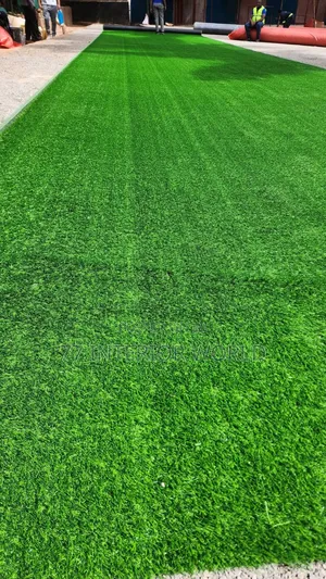 Multiple Purpose Grass Carpet for Homes