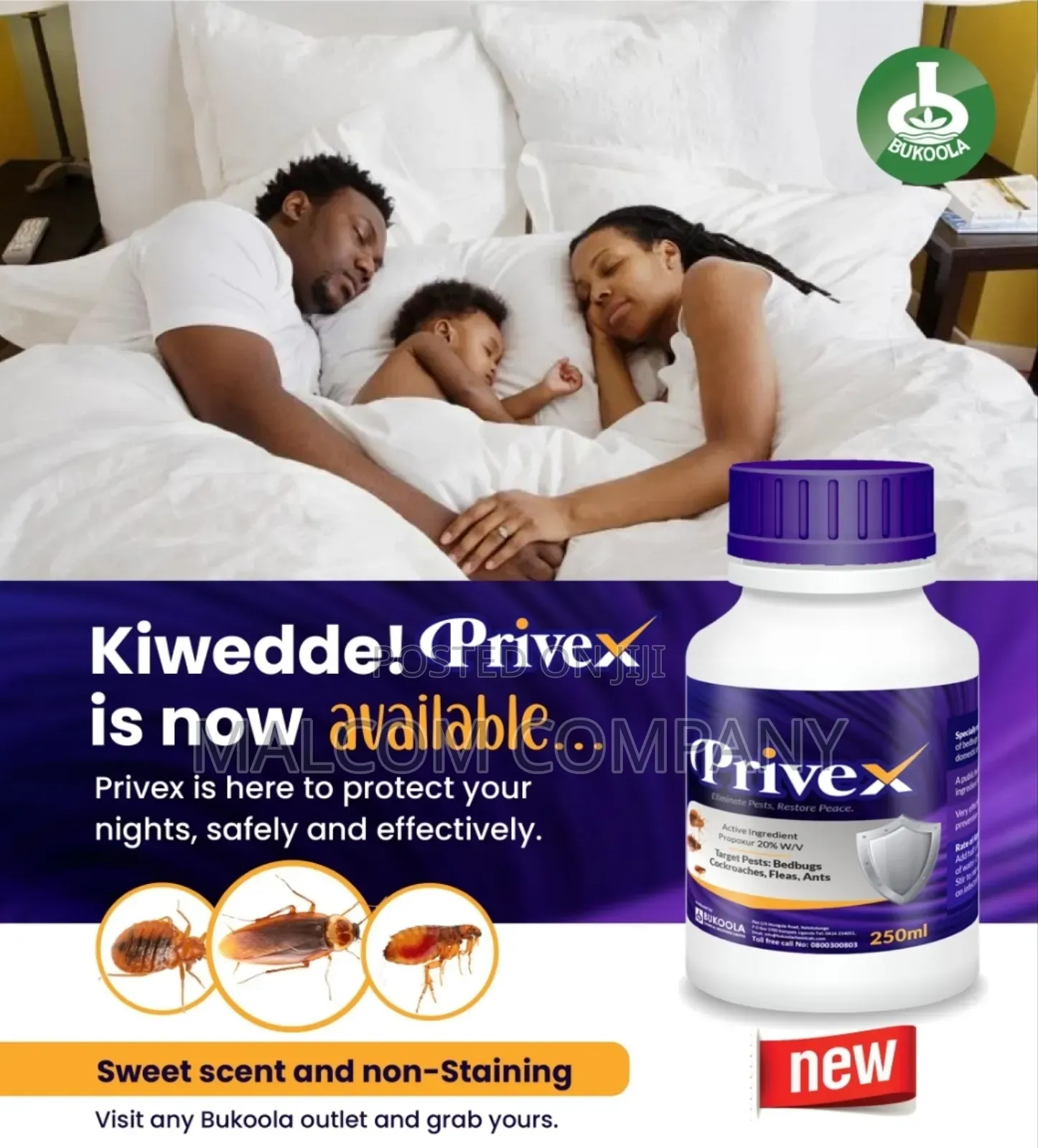 Privex Good Scent and Non Stain Bedbugs and Cockroaches Killer