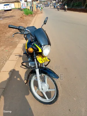 Bajaj Boxer 125 2024 Green