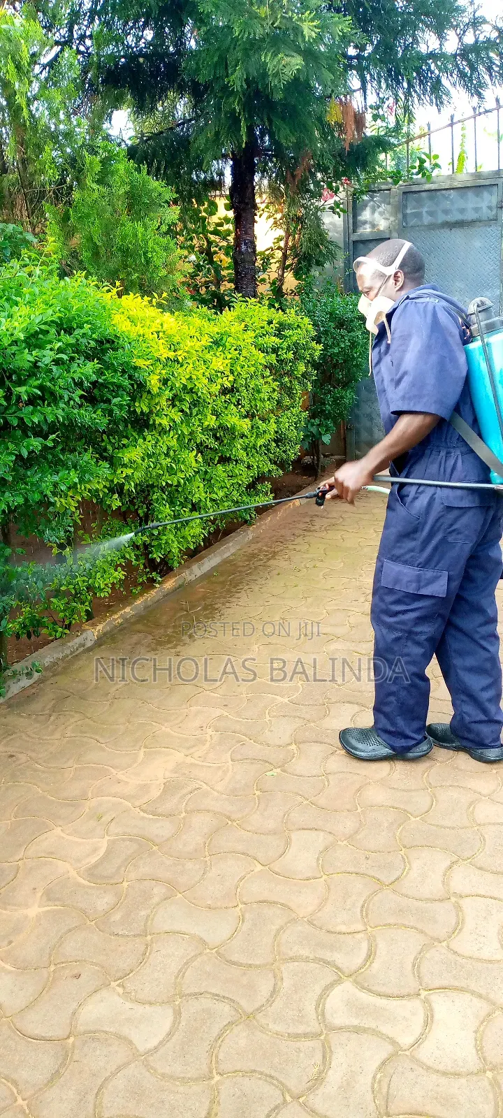 Fumigation Process