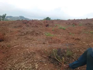 Commercial Plots 50x100 With Rdy Title for Sell7.5m in Ngomanene Mpigi
