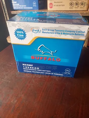 N55 55ah Battery