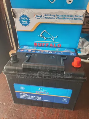 N55 55ah Battery
