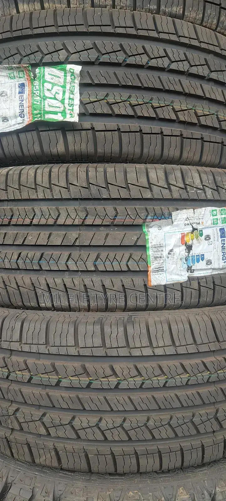 265/60r18 Doublestar