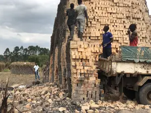 Clay Bricks (Bumba)
