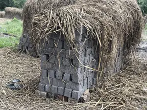 Clay Bricks (Bumba)