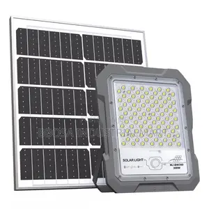 Solar Flood Light