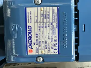 Pedrollo Water Pump 1 Hp