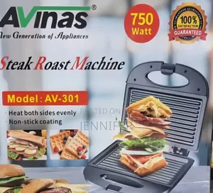 Avinas Steak Roast Machine, Model: Av-301