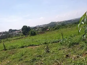 Plot for Sell