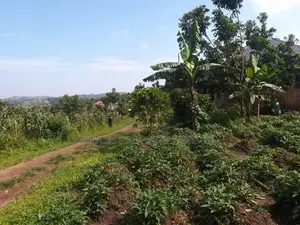 Plot for Sell