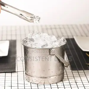 Stainless Steel Ice Bucket