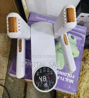 Electric Shoes Dryer