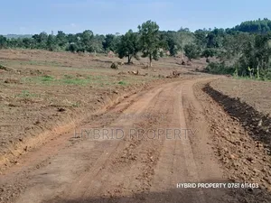 Prime Plots for Sale at Nampunge~Kakiri Kulya Show Estate~Hoima Road.