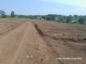 Prime Plots for Sale at Nampunge~Kakiri Kulya Show Estate~Hoima Road.