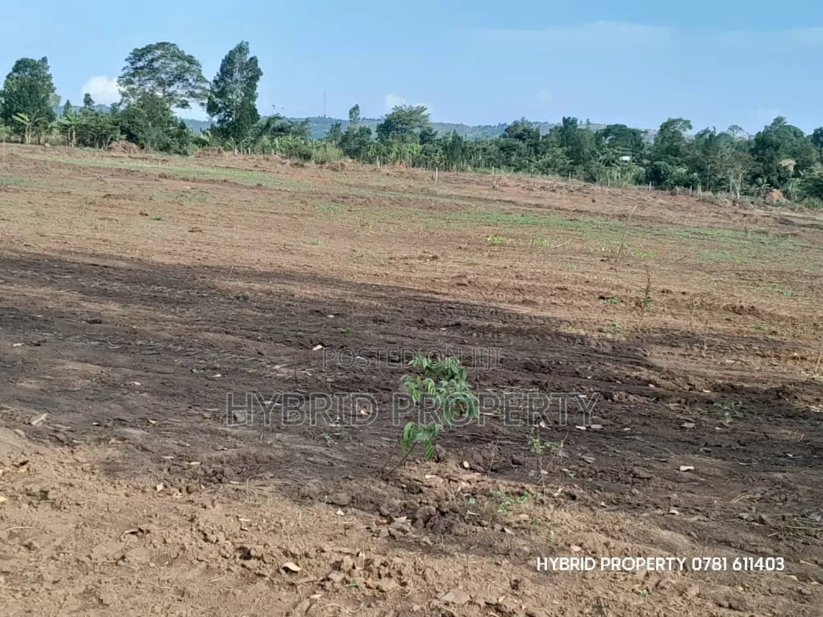 Prime Plots for Sale at Nampunge~Kakiri Kulya Show Estate~Hoima Road.