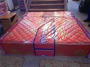 Euro Foam Mattresses High Density 5x6 By10 Inches