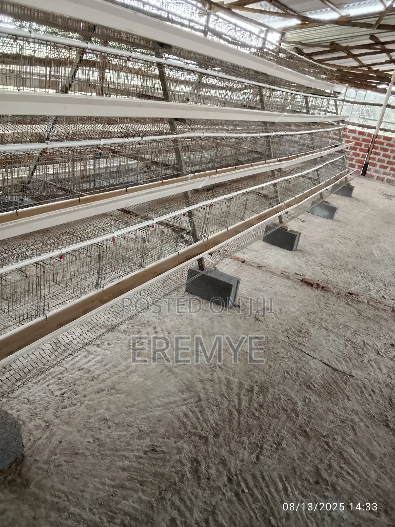 Chicken Cages