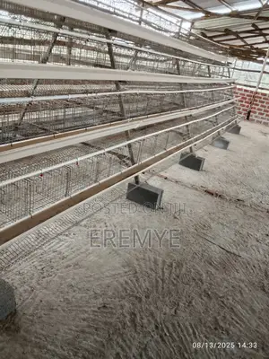 Chicken Cages