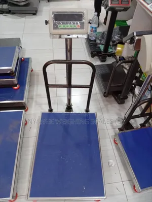 300kg New Modal Weighing Scale Farms Food Weighing Scale