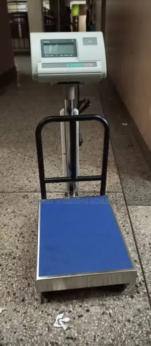 Stainless Steal Weighing Scale 100kg Fish Shop Weighing Scale