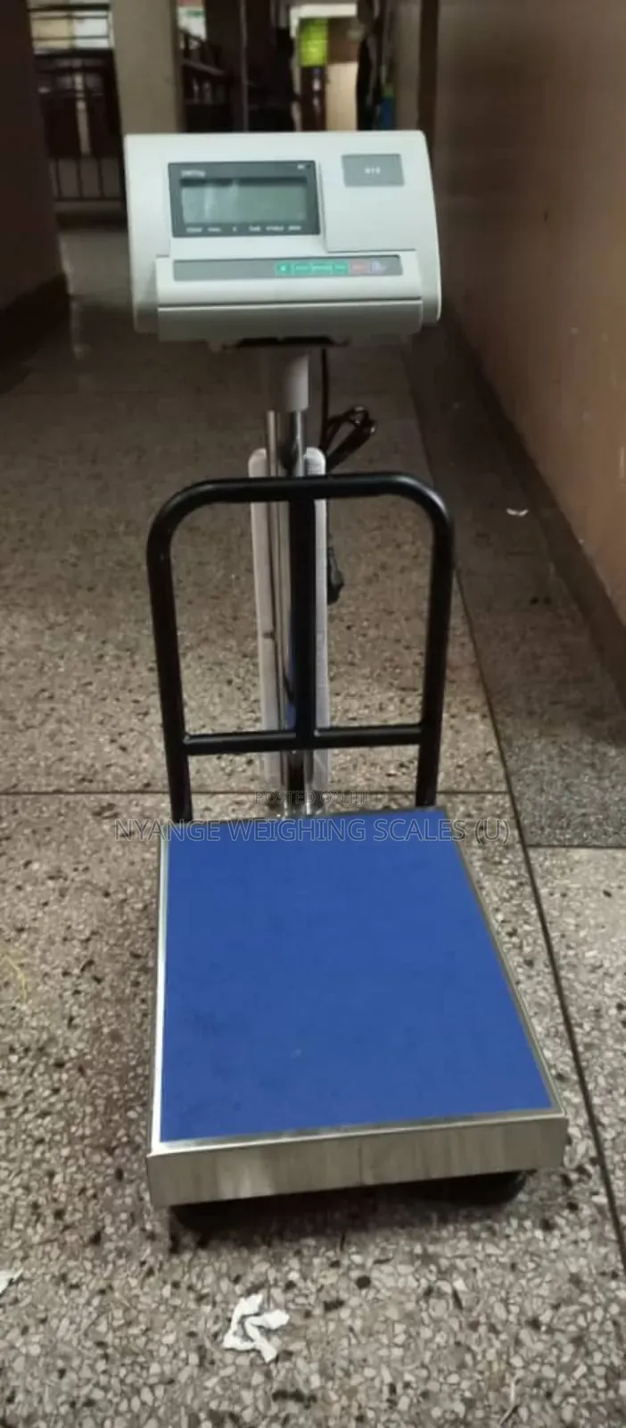 Stainless Steal Weighing Scale 100kg Fish Shop Weighing Scale