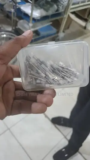 Prophy Brushes