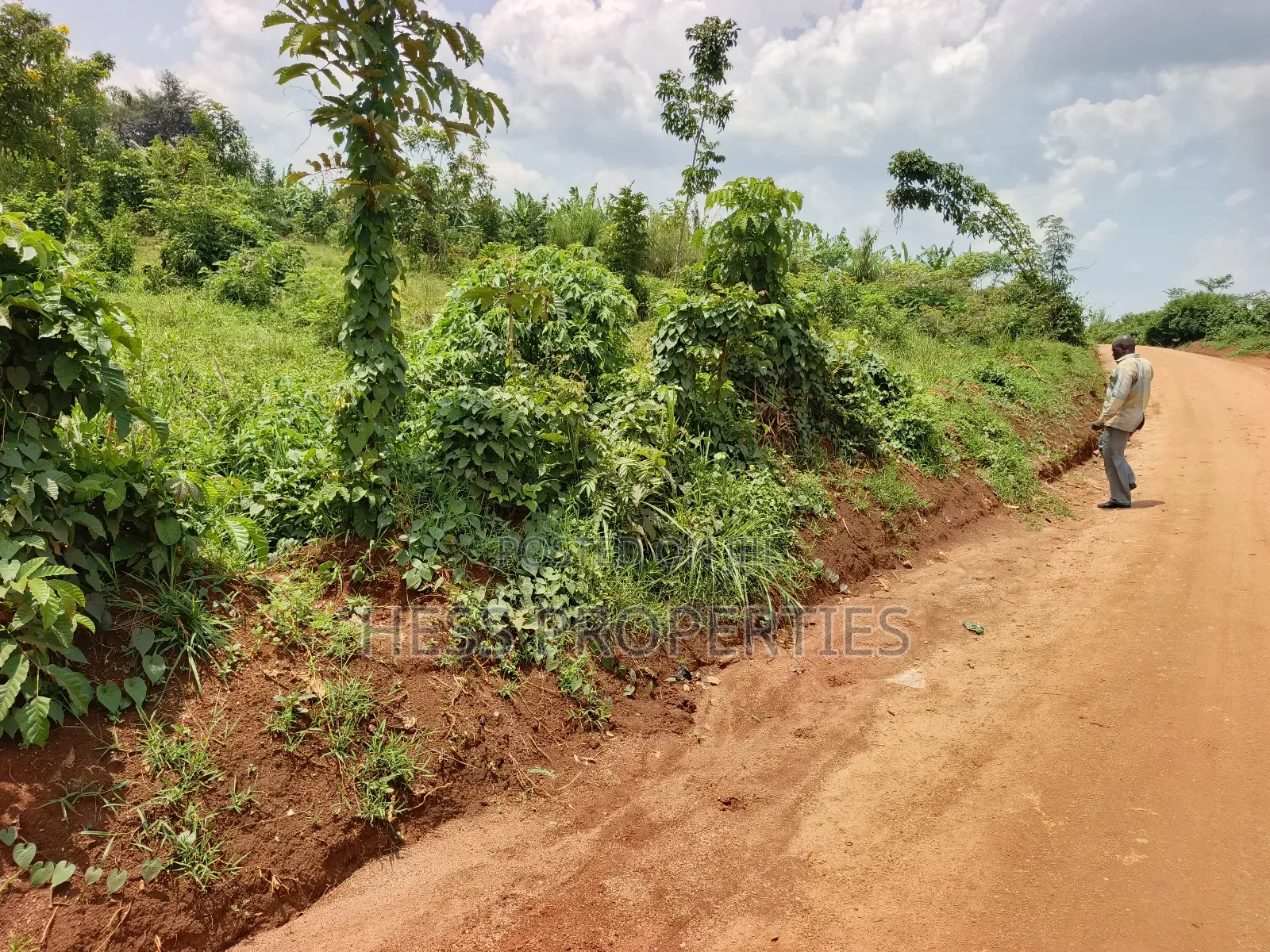 Commercial Plot on Sale
