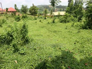 Commercial Plot on Sale