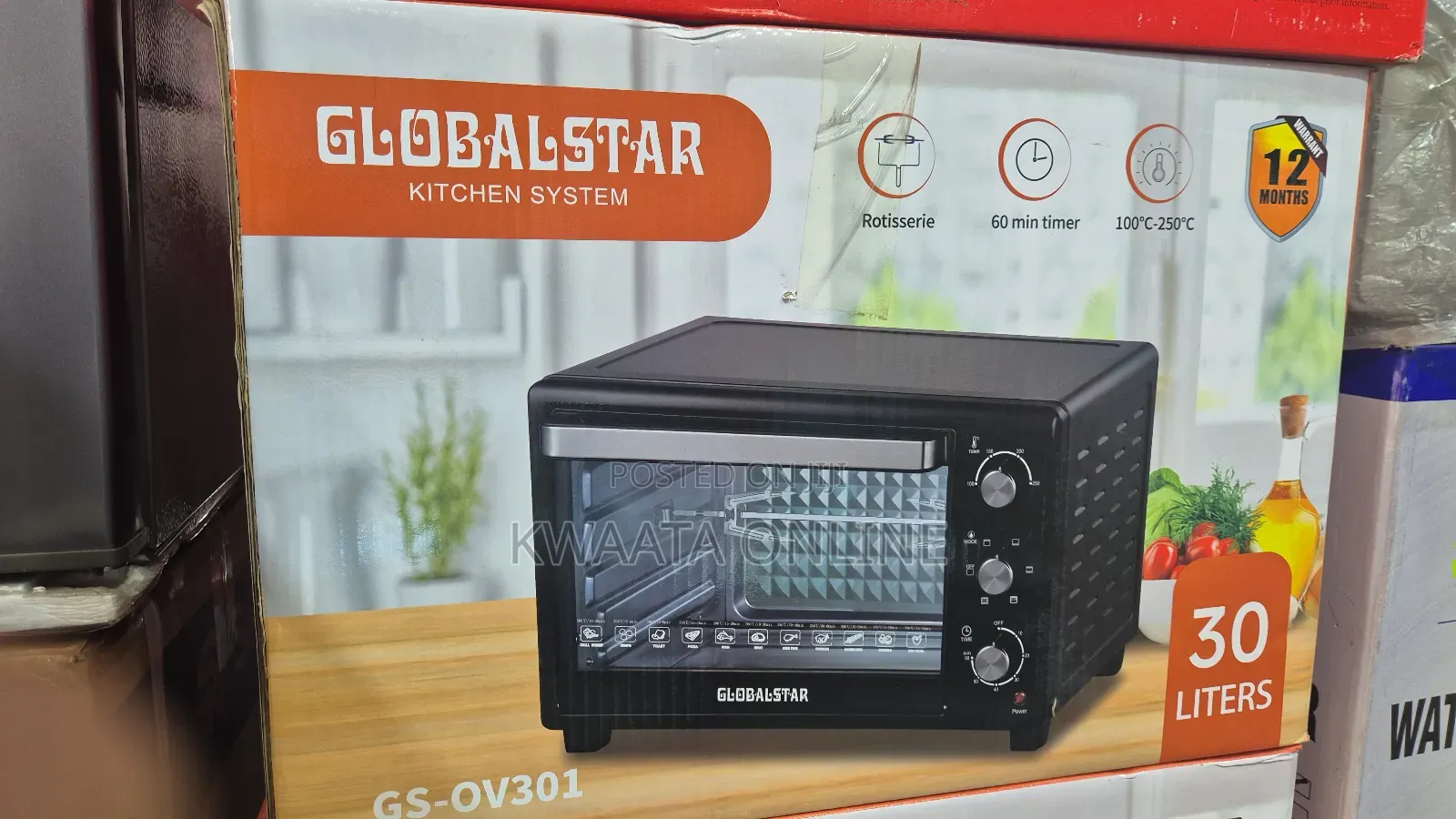 48l Global Star Electric Oven With Rotisserie Hot Plate