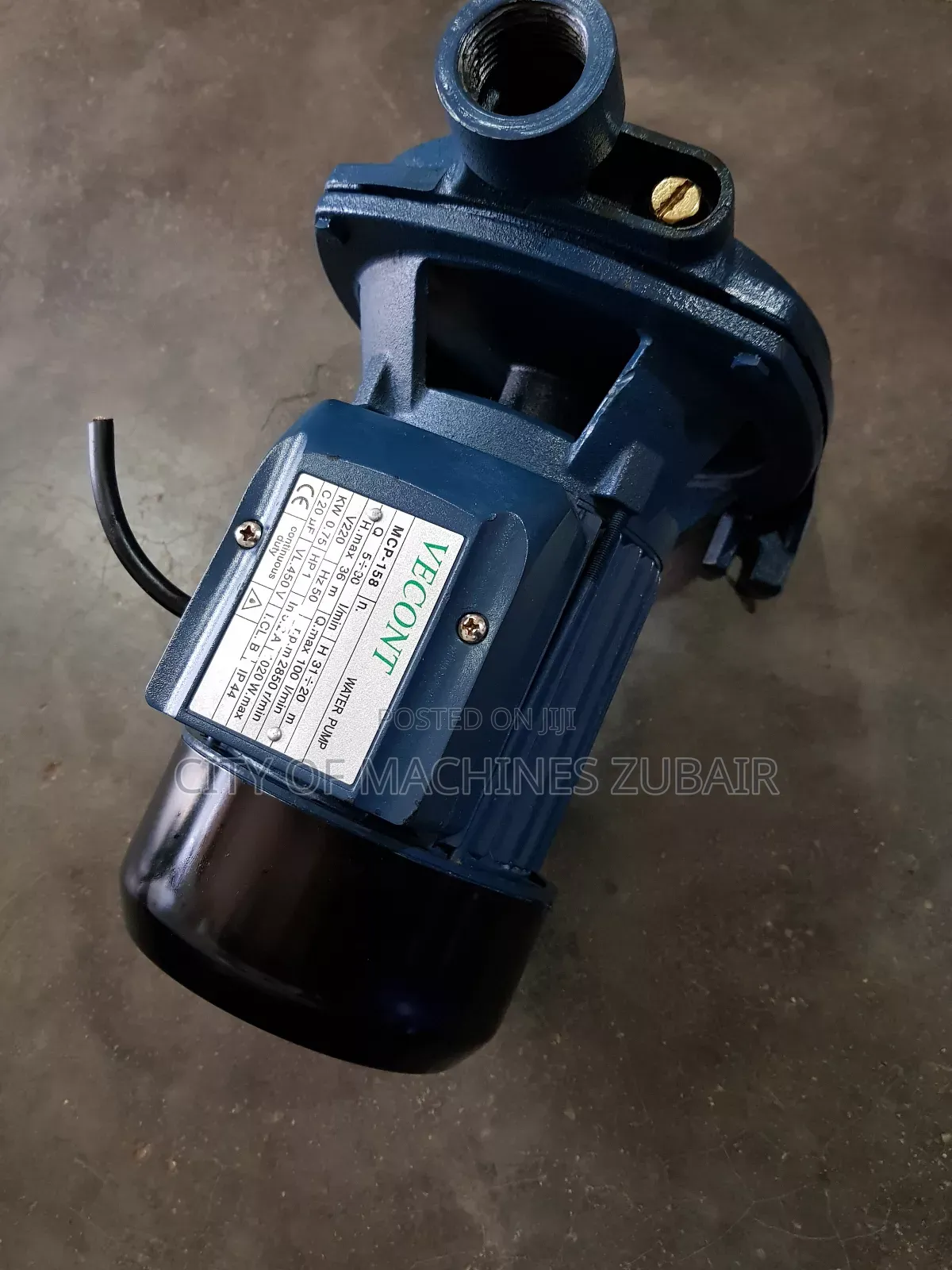 Surface Water Pump